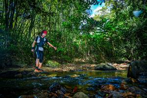 BIB: 
                            <button type="button" onclick="openModal(21764819)" class="btn btn-primary btn-sm float-right btn-popup" data-toggle="modal" data-target=".modal-high-quality">
                        <i class="fas fa-shopping-cart"></i> Add to Cart
                    </button>
                                            <button type="button" onclick="isThisMe(21764819, true)" class="btn btn-success btn-sm float-right btn-popup btn-isme hidden" data-toggle="tooltip" data-placement="bottom" title="นี่คือรูปของคุณใช่ไหม คลิกที่นี่เพื่อเอาเข้าอัลบั้ม">
                        <i class="fas fa-plus"></i> Add to album
                    </button>
                    <button type="button" onclick="isThisMe(21764819, false)" class="btn btn-warning btn-sm float-right btn-popup btn-isnotme hidden">
                        <i class="fas fa-ban"></i> Remove from album
                    </button>